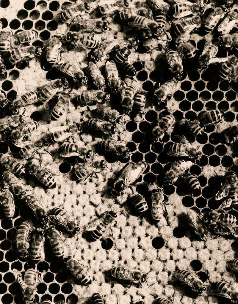 Third slide image